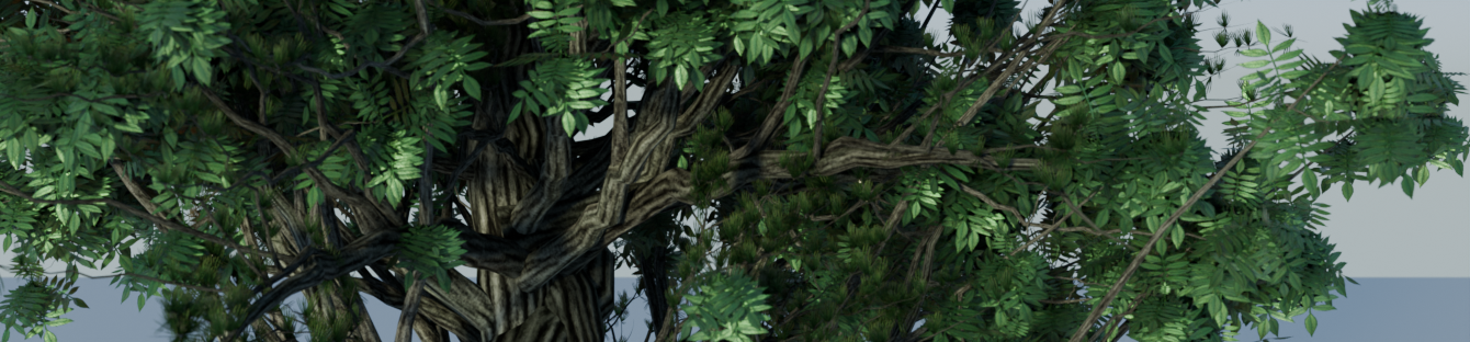 Baum-Generator ist da